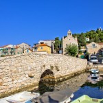 Wyścigi osłów w Tribunji